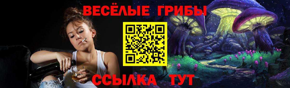 Галлюциногенные грибы ЛСД  купить  сайты  Мичуринск  Вход с VPN 