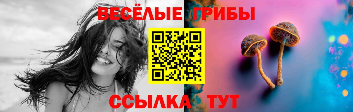 Псилоцибиновые грибы MAGIC MUSHROOMS Мичуринск